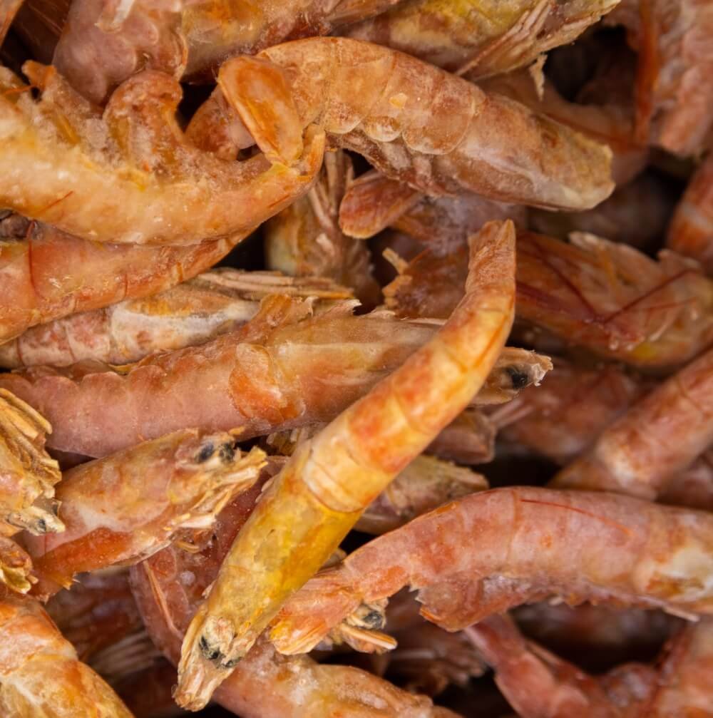 Dried Hipon (Big)