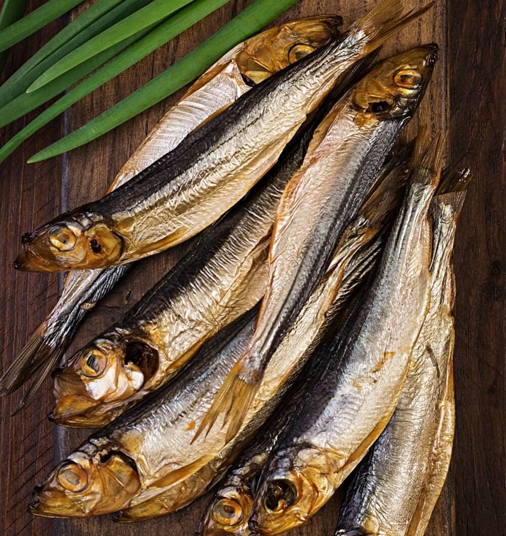 Tunsoy