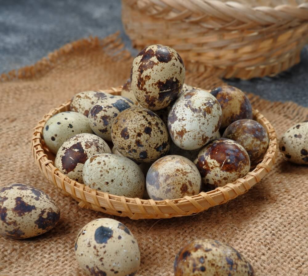 Quail Egg
