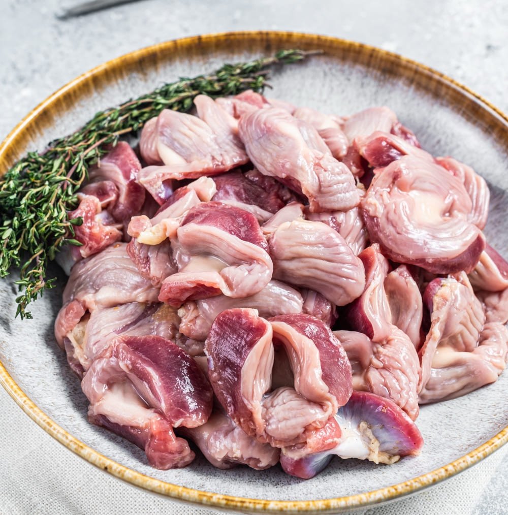 Chicken Gizzard
